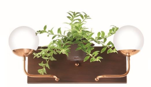 Arandela de Parede com Suporte para Planta e Globo Ø12cm 53x16x15cm 2xG9 Old Artisan AR-5430/A